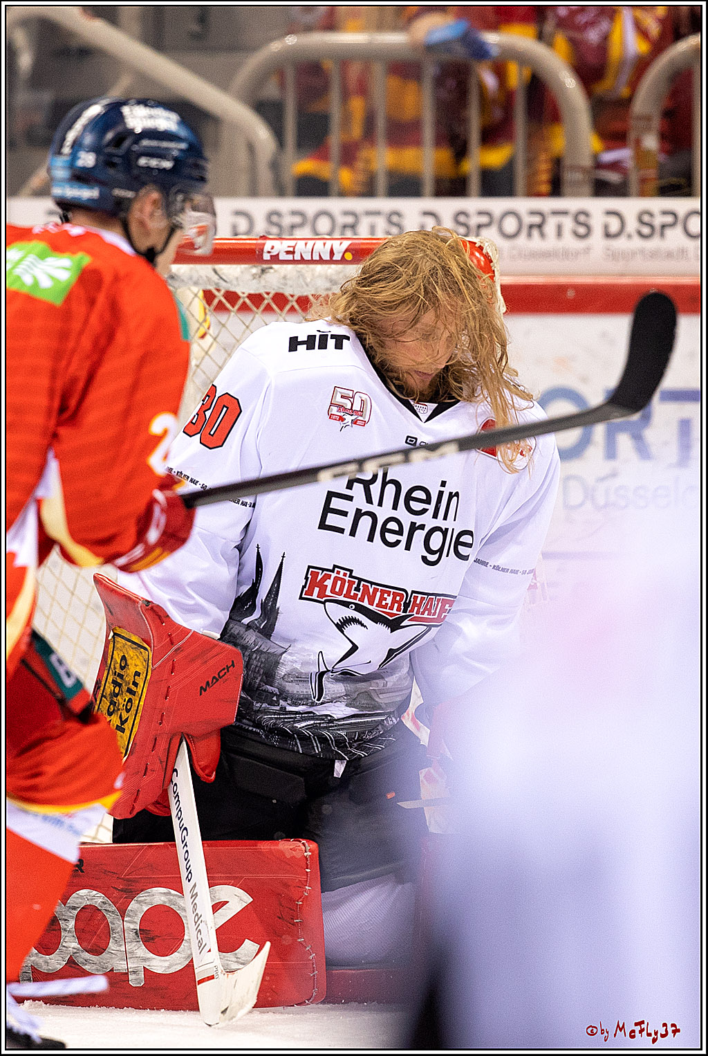 PENNY DEL;  Düsseldorfer EG - Kölner Haie; Düsseldorf, 28.10.2022